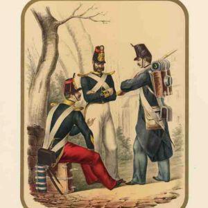 Poster Stampa Terzo reggimento di linea in diverse tenute 073 ZEZON